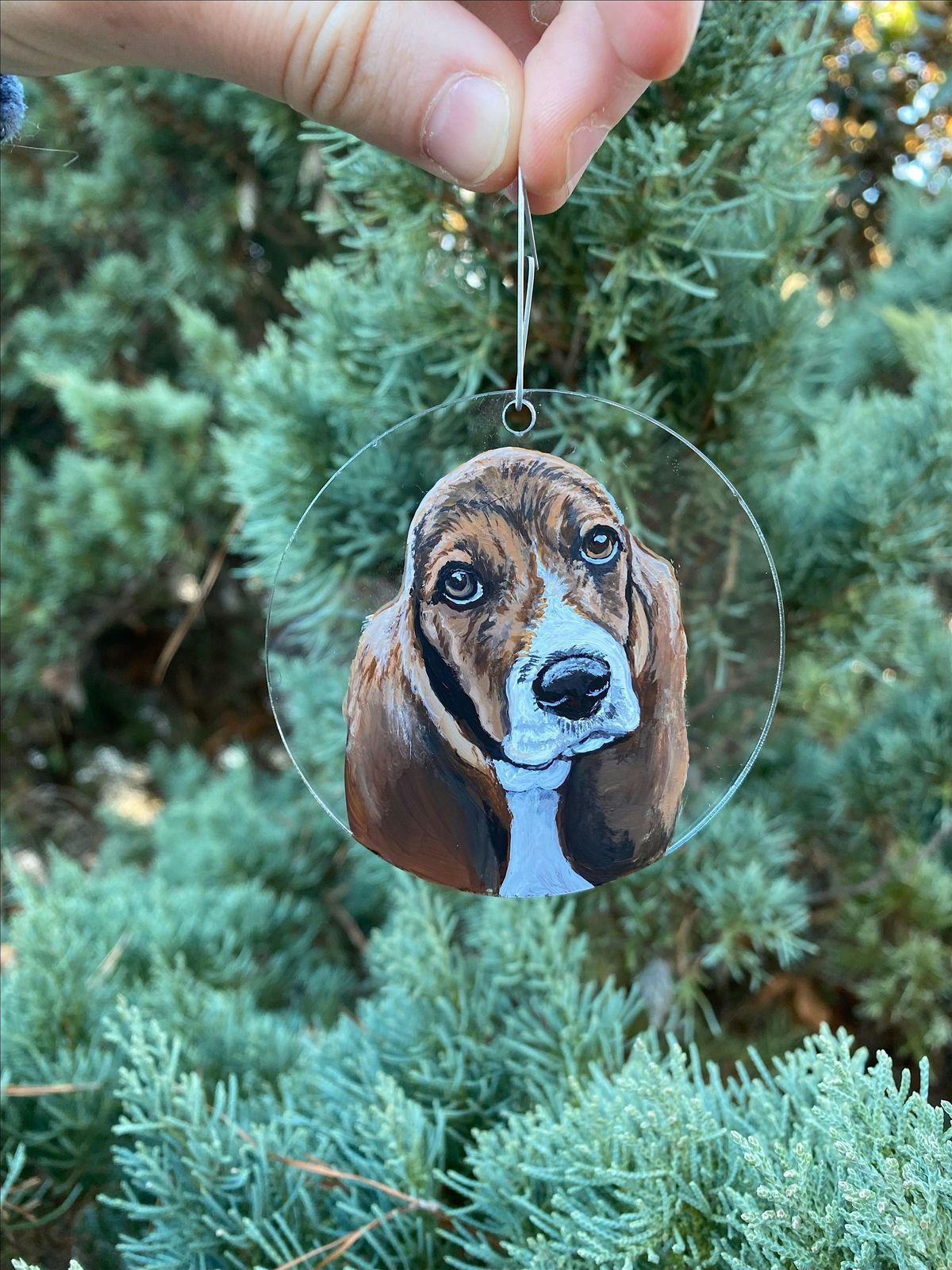 \u201cPaint Your Pet!\u201d- Christmas Ornaments!