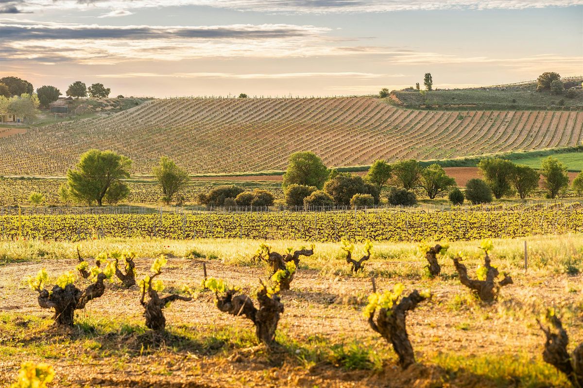 Finca Torremilanos Wine Dinner Featuring Vicente Pe\u00f1alba
