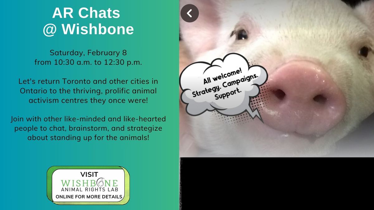 AR Chats @ Wishbone - February 8, 2025