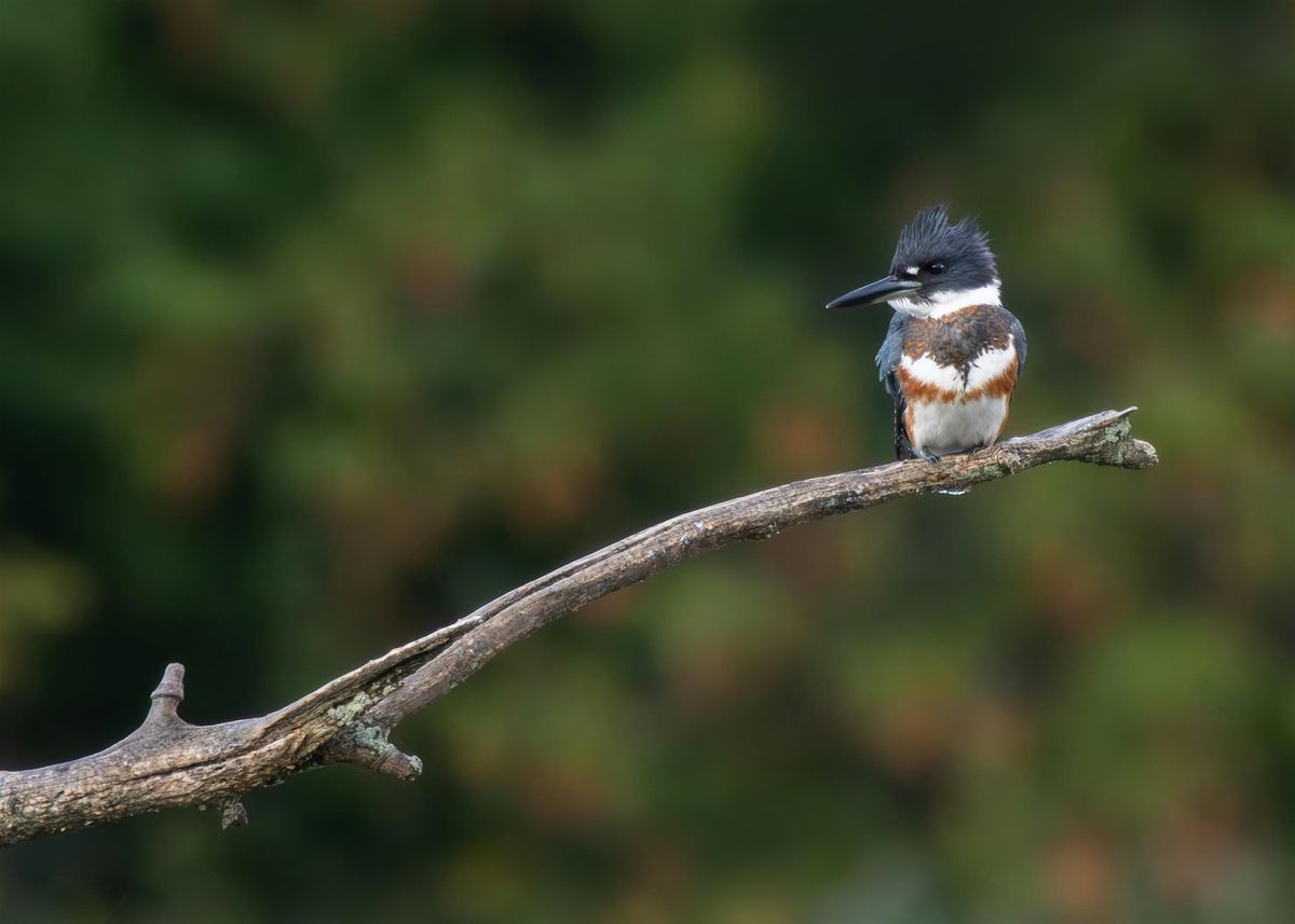 Morning Bird Walk at Humboldt Park on 9\/7