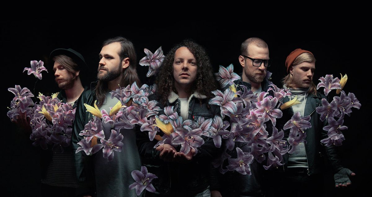 A Lot Like Birds