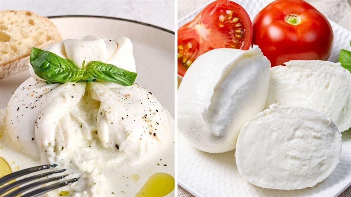 Cheesemaking - MOZZARELLA & Burrata