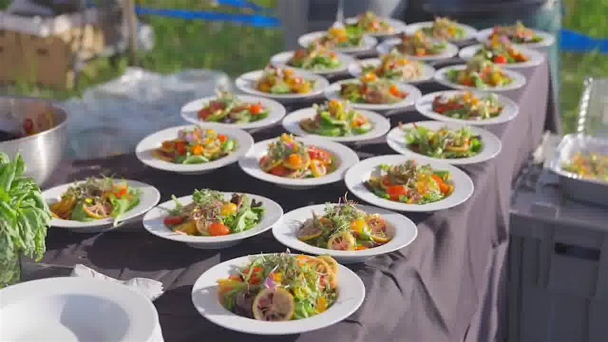 Plants 2 Table | 6th Annual BENEFIT + UPDATE