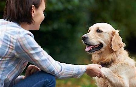 Pets for Mental Health  course
