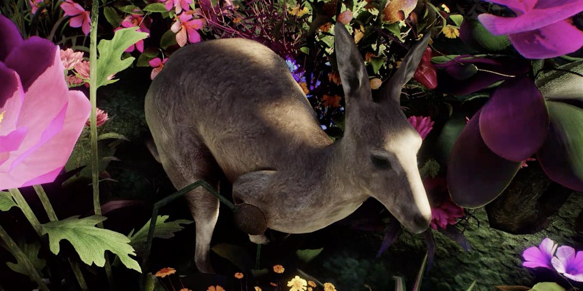 Australian XR Festival 2025 Public Showcase - Day 2