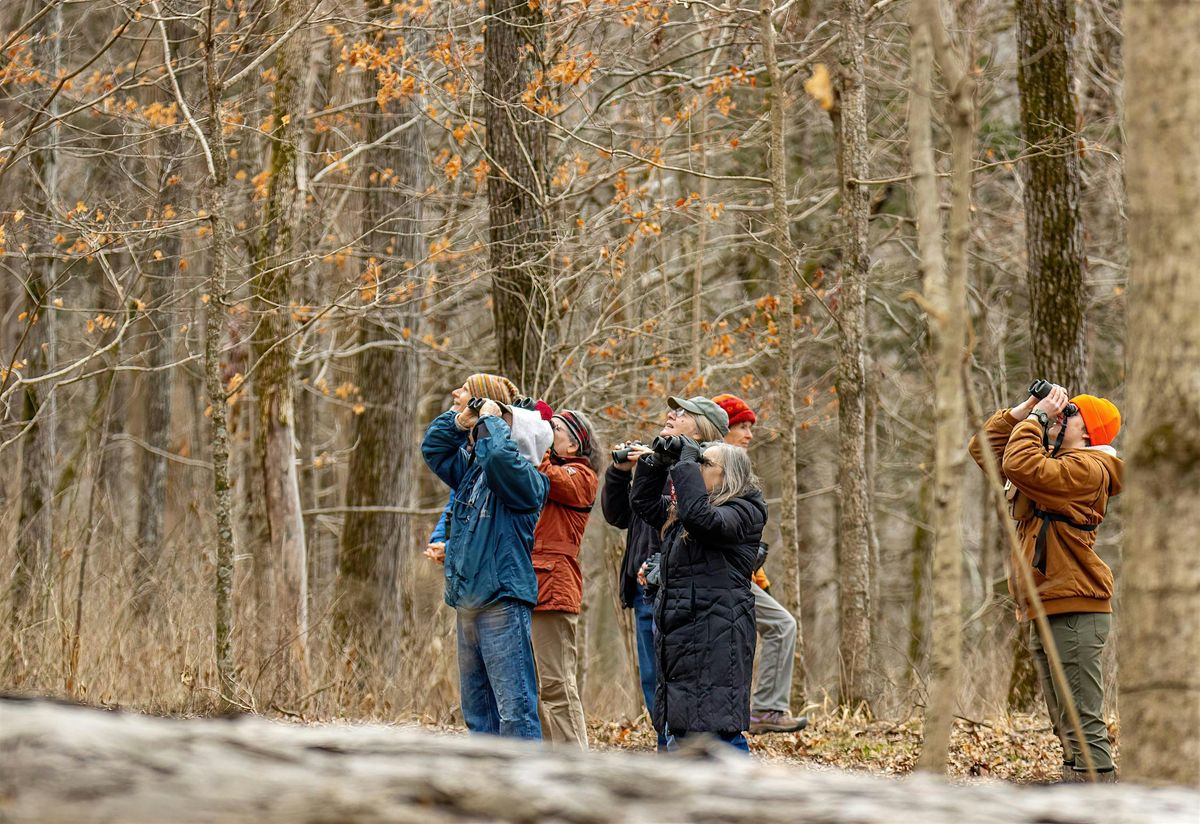 FLOC: First Friday Birding