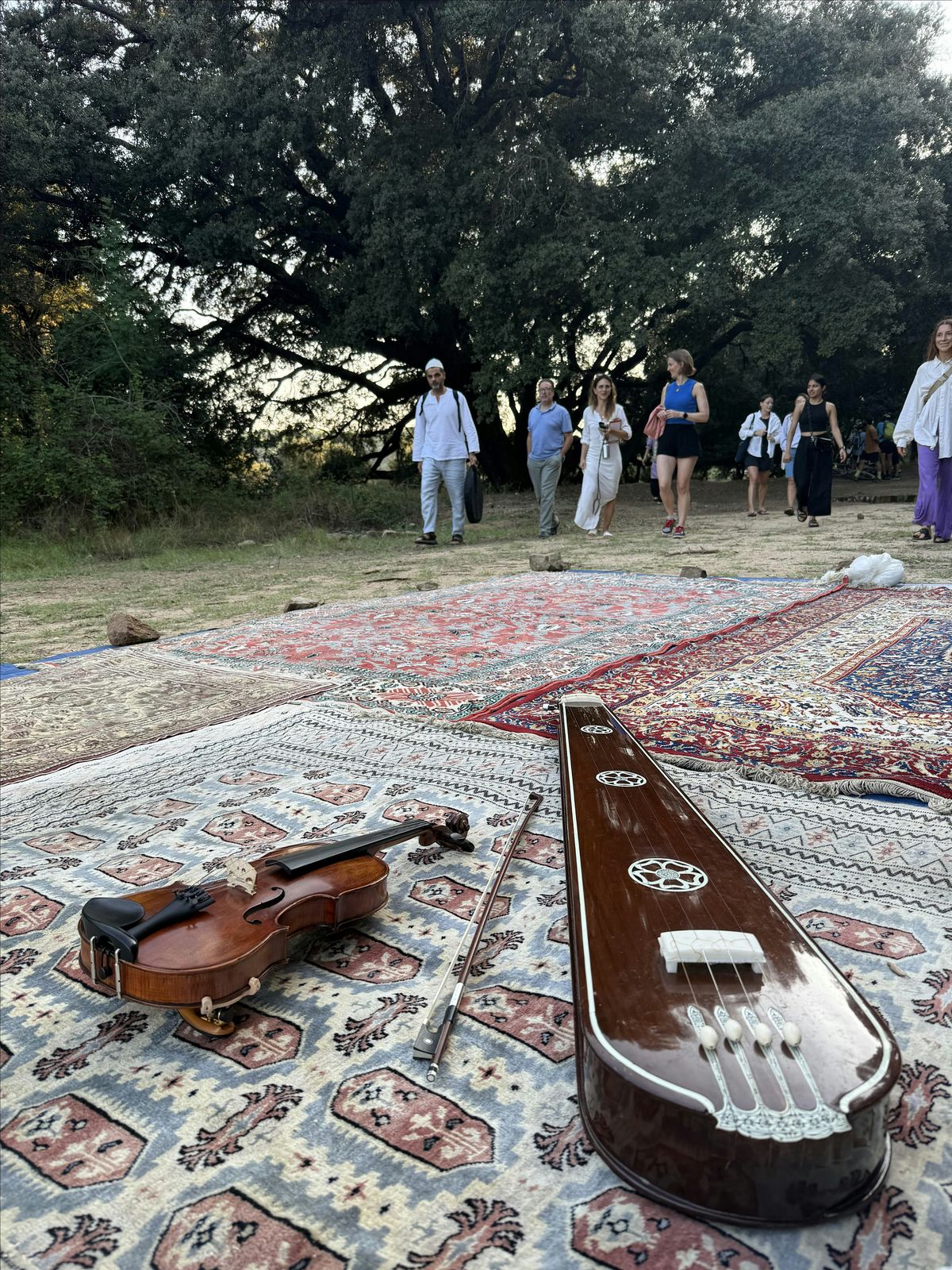 Sufi Music & Poetry Night