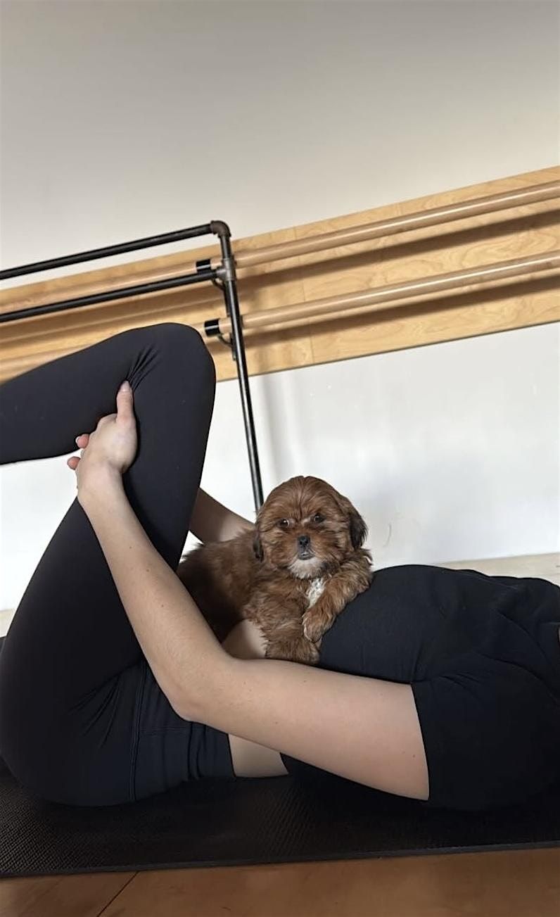 PUPPY YOGA DETROIT