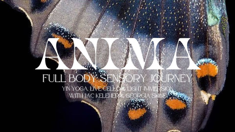 ANIMA: Full Body Sensory Journey