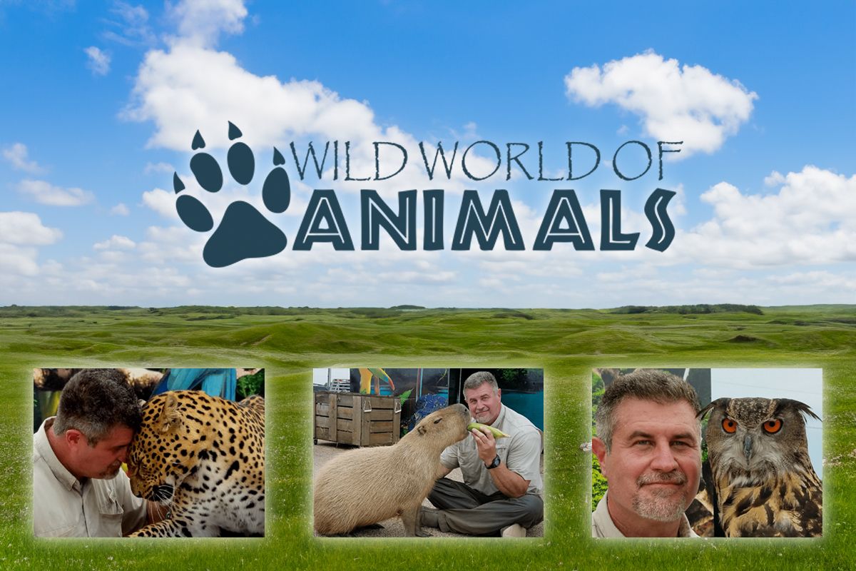 Wild World of Animals Live