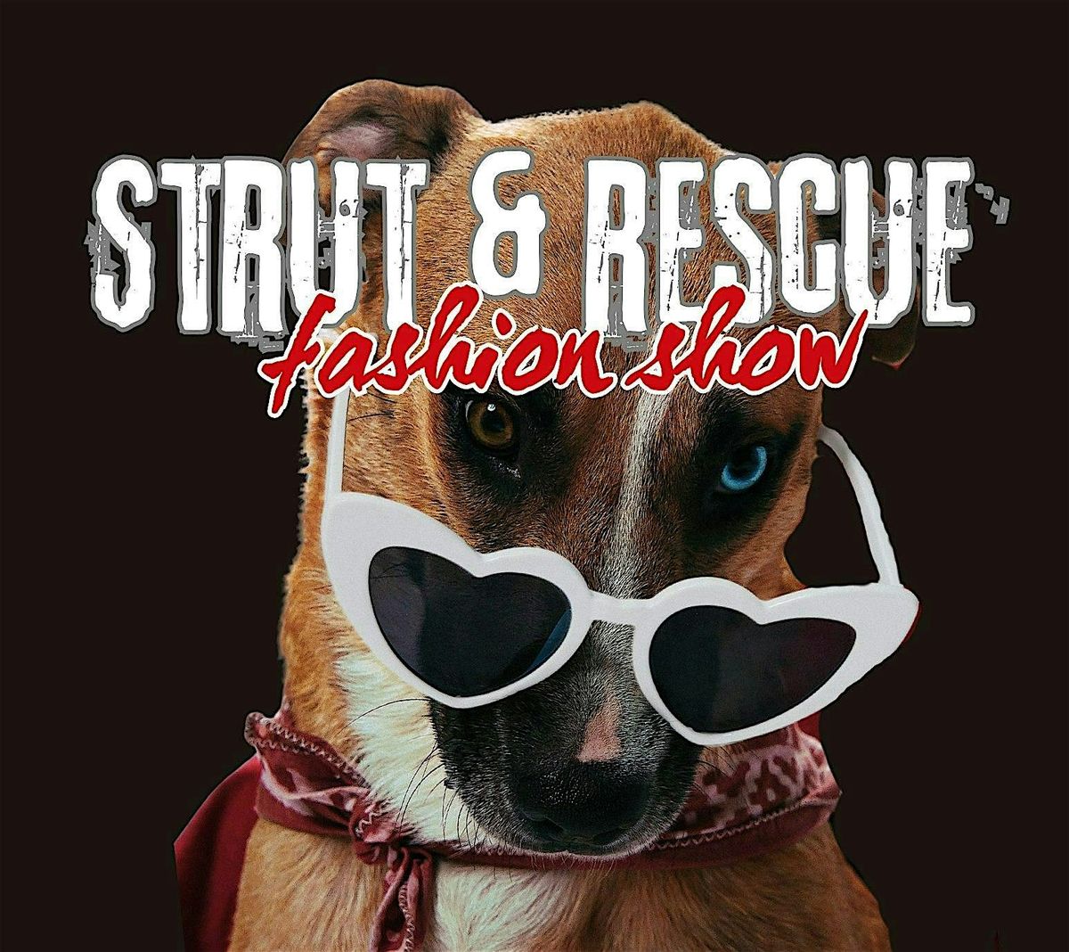 Strut & Rescue Fashion Show\/Festival