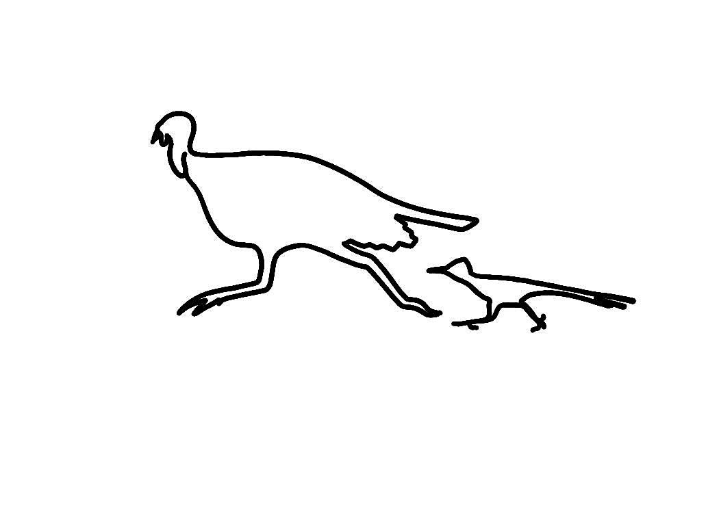 2025 Marfa Turkey Trot 5k Run\/Walk