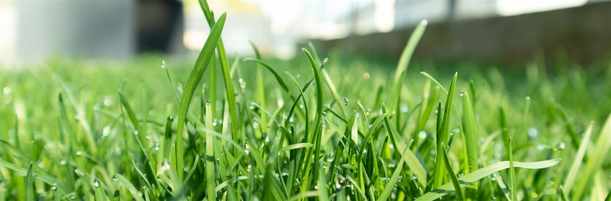 GREEN GTBOP Webinar Series - Thursday, November 13, 2025