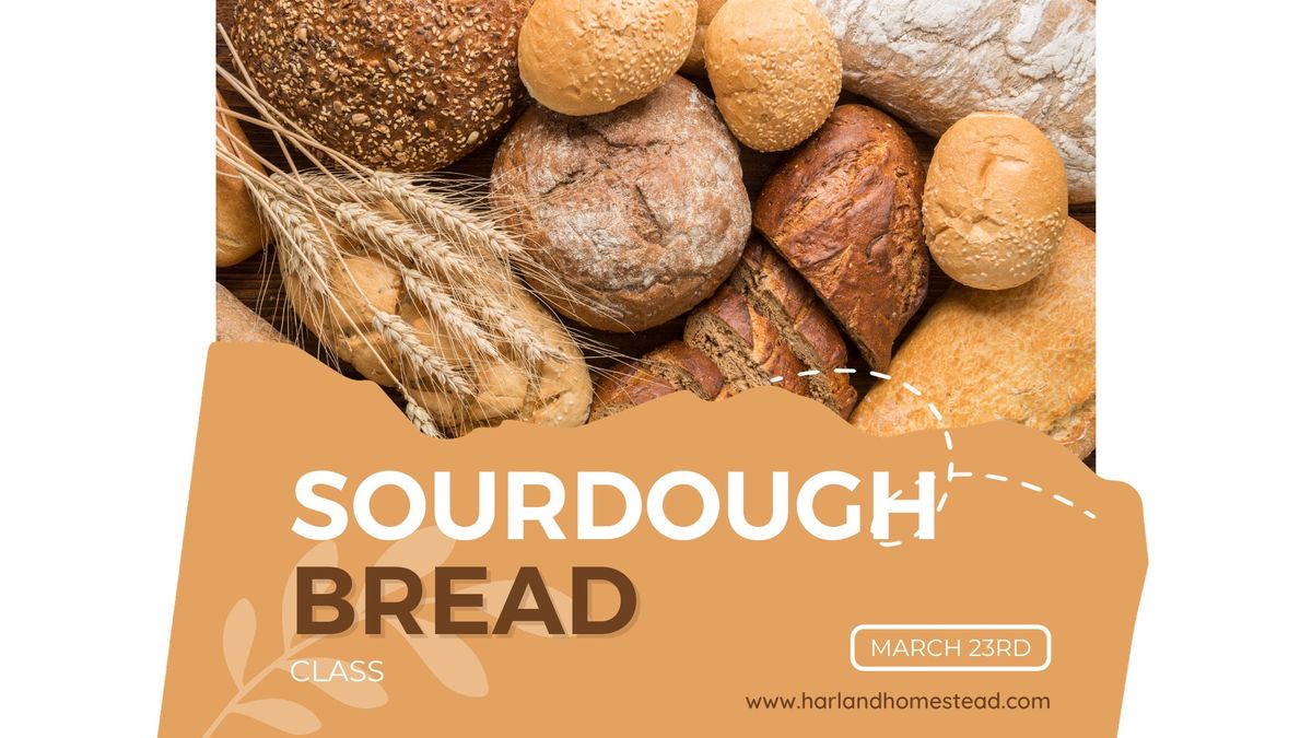 Sourdough Bread Making Class