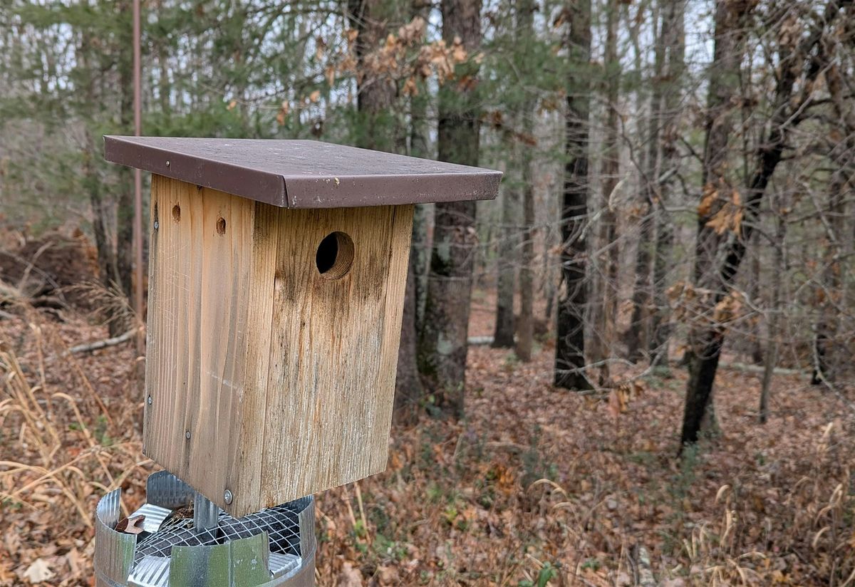 Build Your Own Bluebird Box