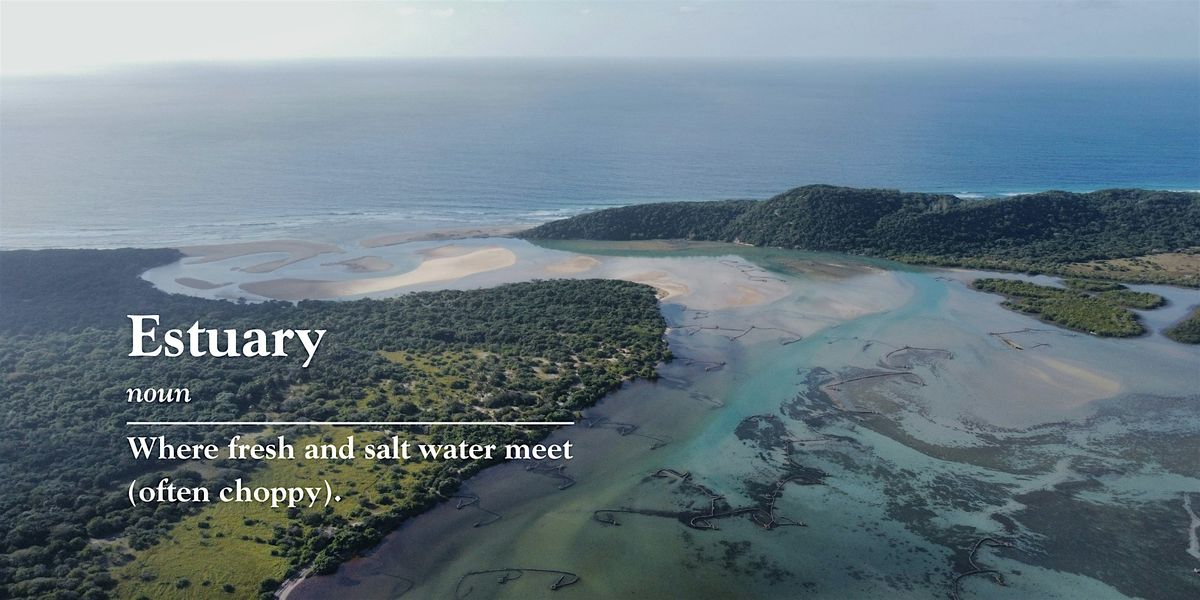 Estuary Experience