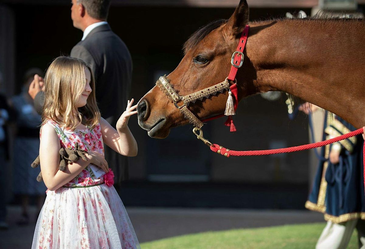 October 2025 Sunday Horse Show