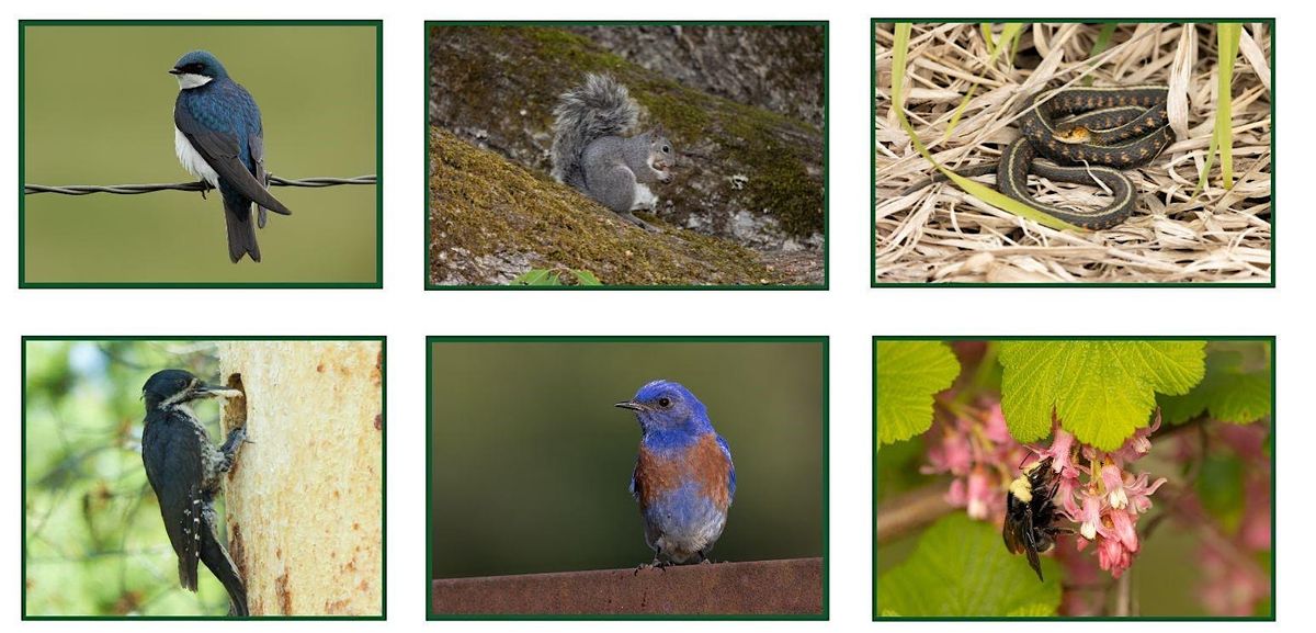 Forest Wildlife Research Summit