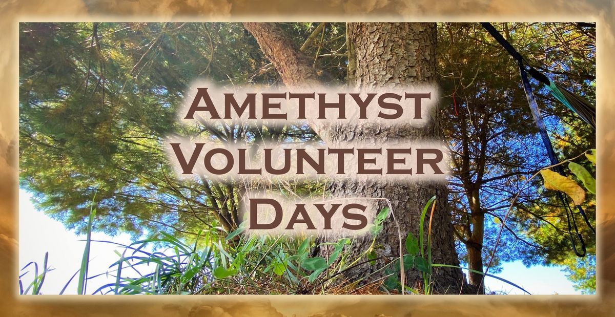 Amethyst Volunteer Day