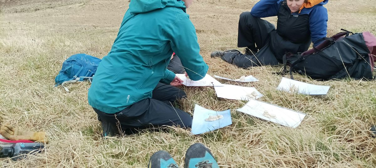 Ladies only - Introduction to Navigation (half day course)