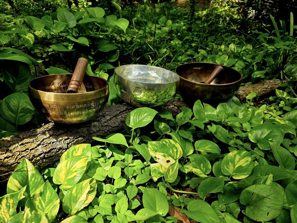 Sound Bath Meditation with Scarlet Button Wellness and JPS MMA!