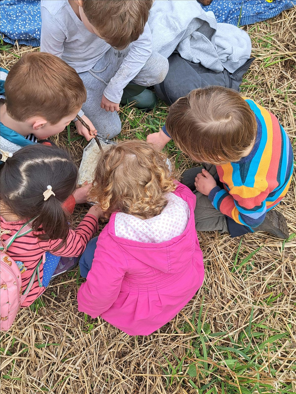 November woodland yoga adventure for kids and their adults