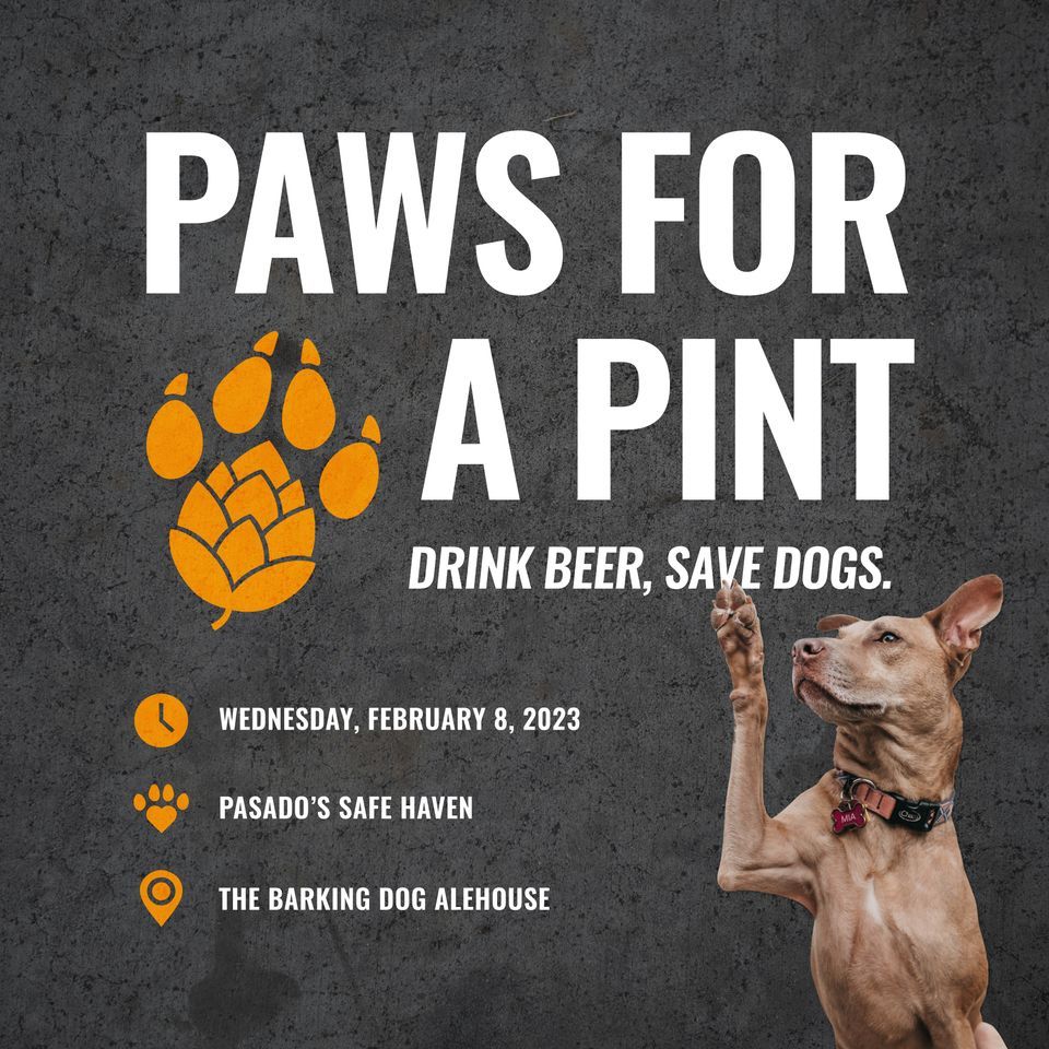 Paws for a Pint