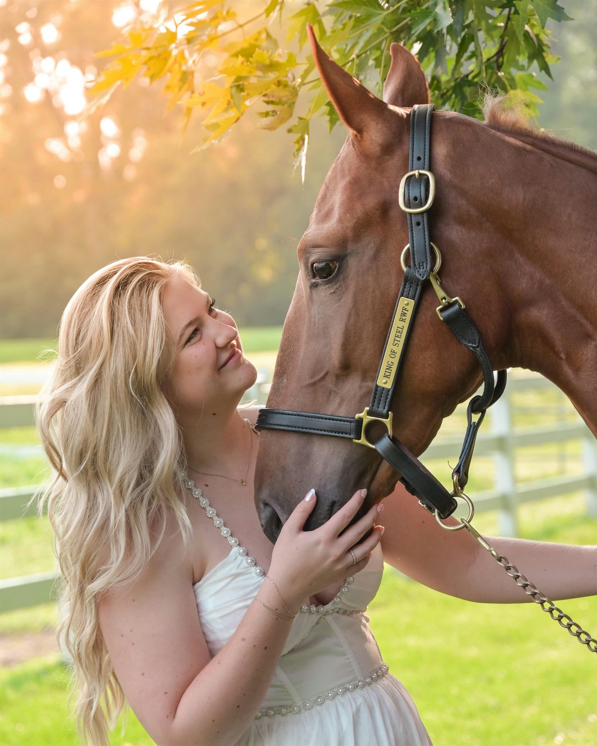 Horse Photo Shoot Memories