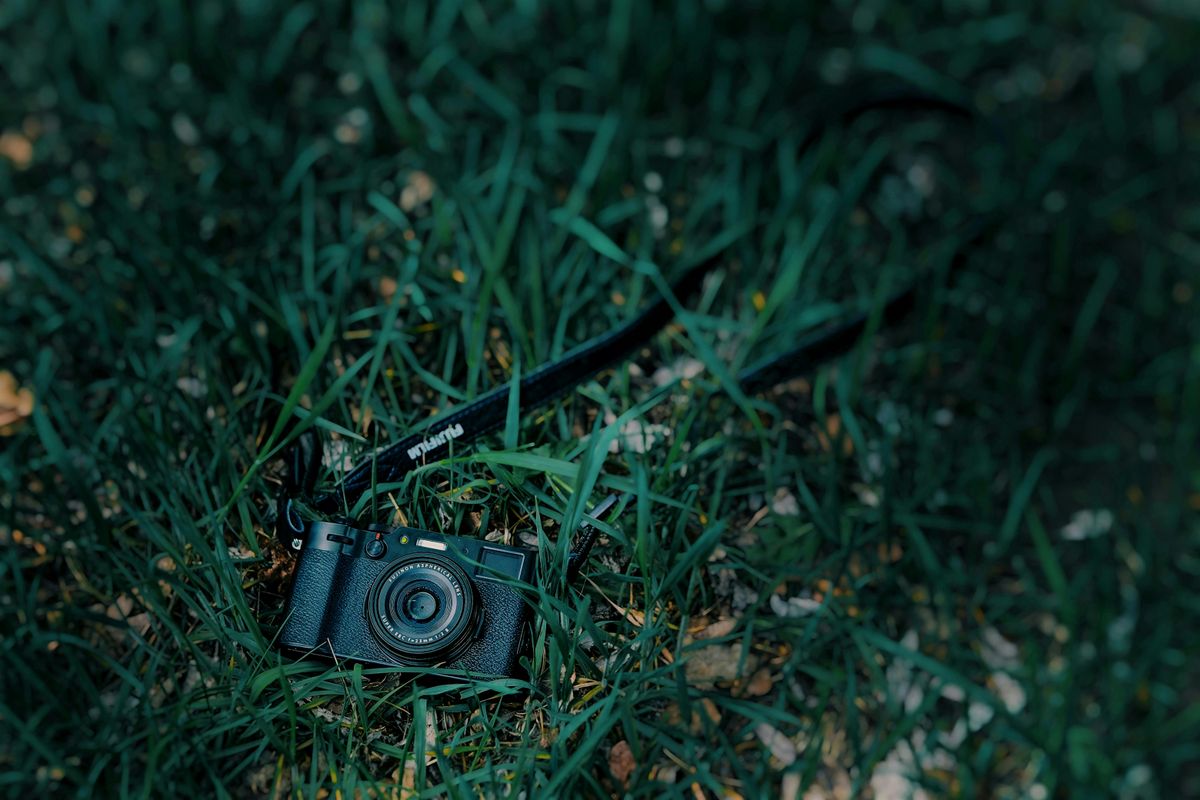 Guided Photo Walks