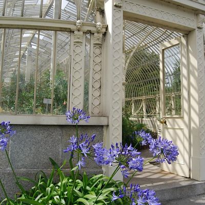 National Botanic Gardens of Ireland