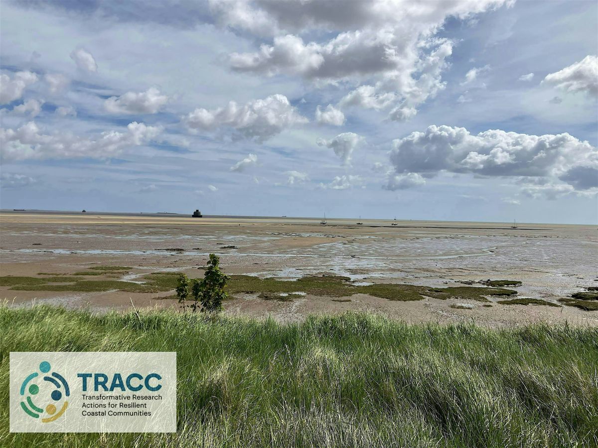 TRACC Participatory Theatre 3rd Nov 25: Exploring real life local issues