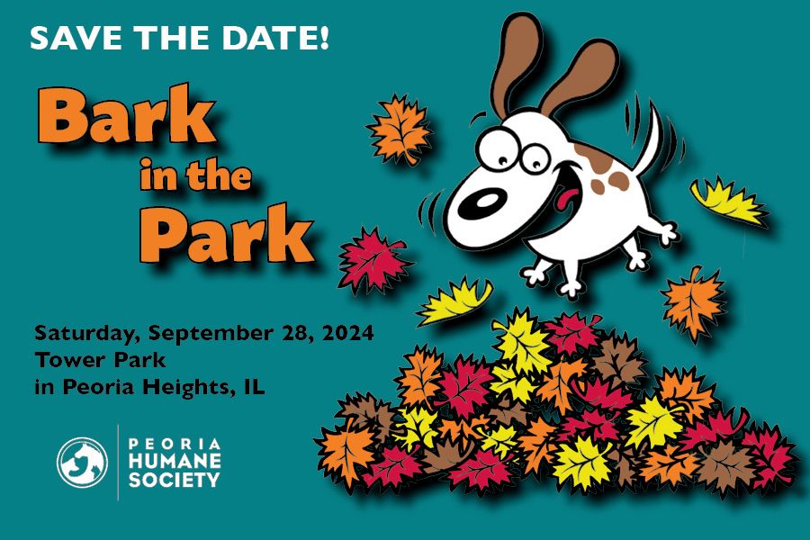 Bark in the Park