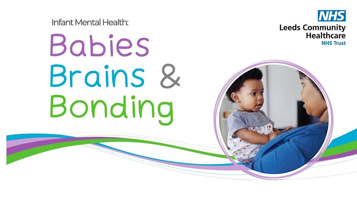 Babies Brains and Bonding Training: Wednesday 12th November 2025