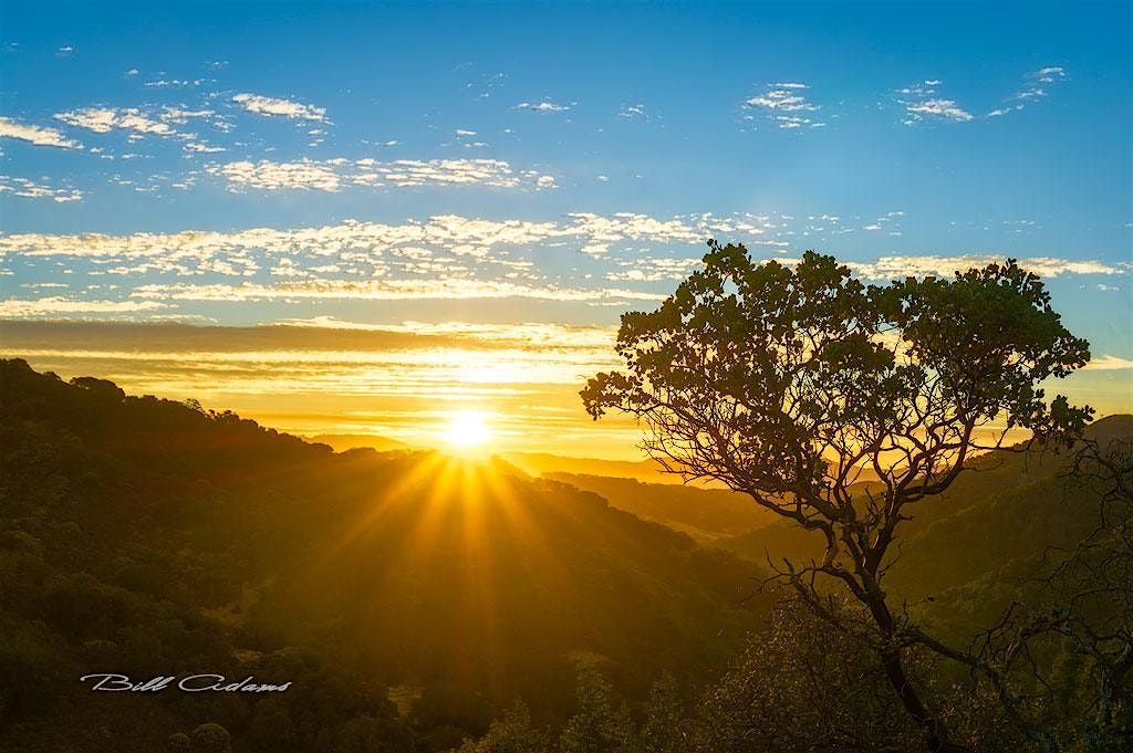 Walking on Wednesday - a Wellness Experience for the Grieving