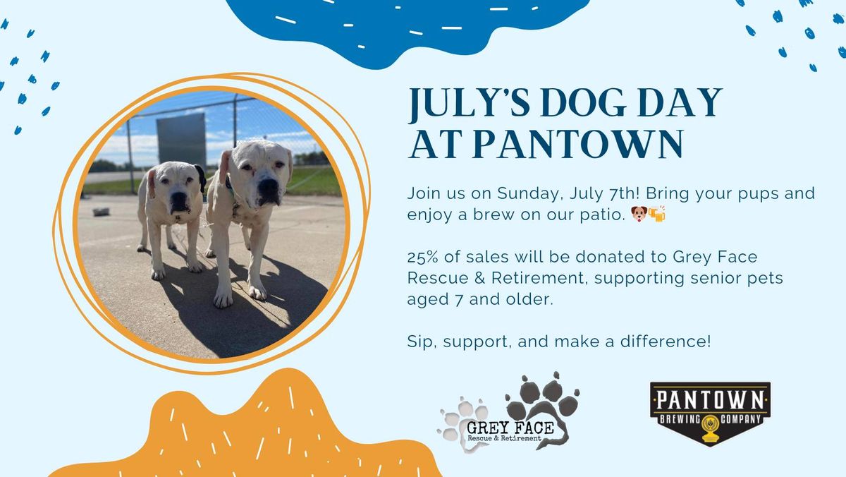 \ud83d\udc3e July's Dog-Friendly Day at Pantown! \ud83d\udc3e