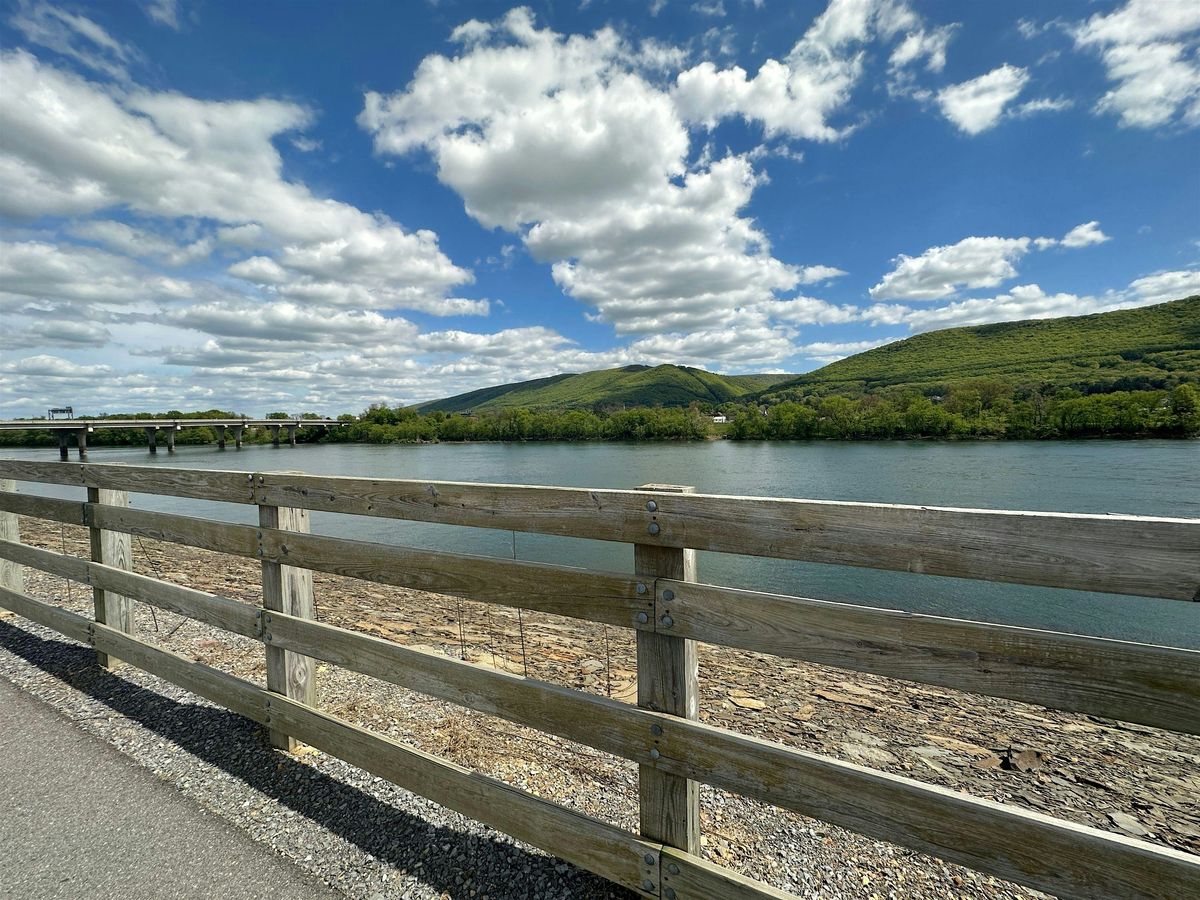 Awesome Scavenger Hunt - Williamsport Whimsical Wonders Hunt