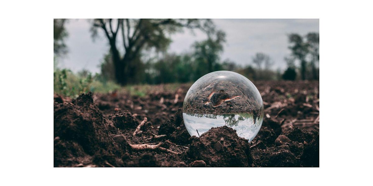 Earth Day Forest Bathing