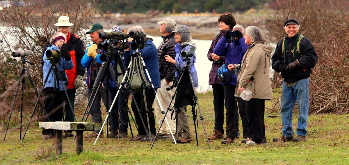 Guided Birding Field Trip  at Semiahmoo  Spit