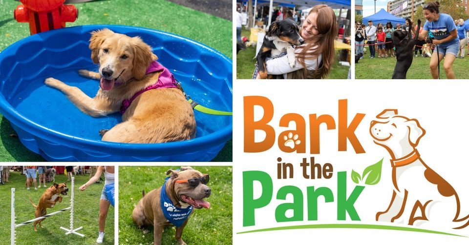 Bark in the Park, Latham Park, Stamford, 22 May 2025