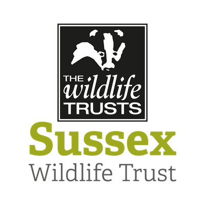 Youth Action Events at Sussex Wildlife Trust