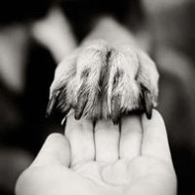 Hand & Paw