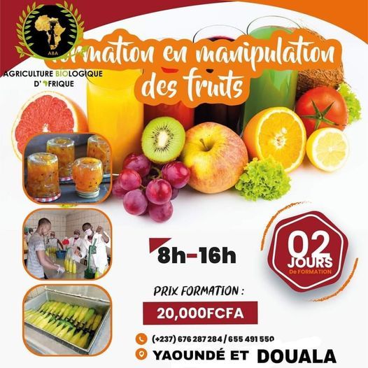 Formation en production des jus % naturels, sirop et confitures.