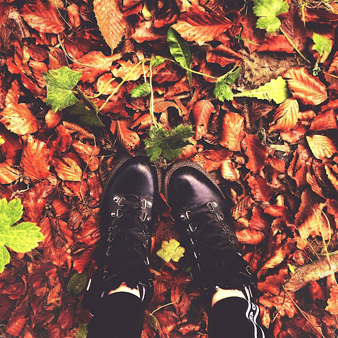 Autumn Stroll