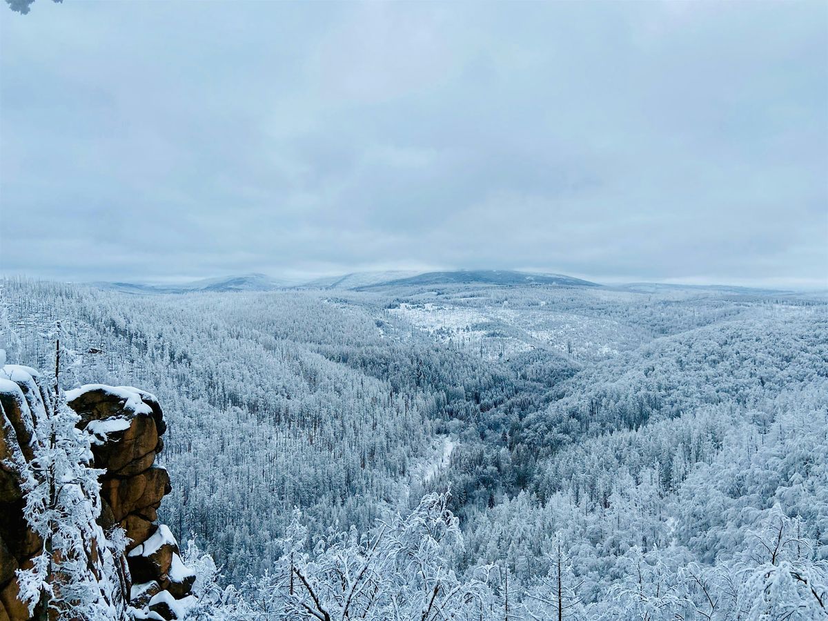 Harz Tour - Winter Wonderland