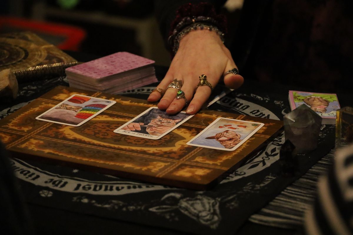 Tarot Reading Night with Cats \u2728\ud83d\udc3e