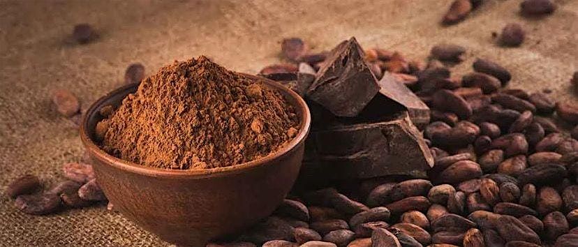 \ufe0f Recover & Recharge with Wim Hof Method Breathwork & Cacao!