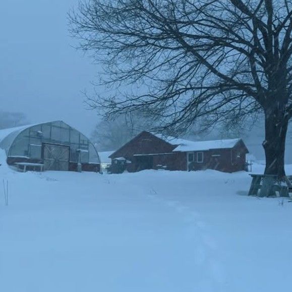 Winter Walk at  Nooney Farm 