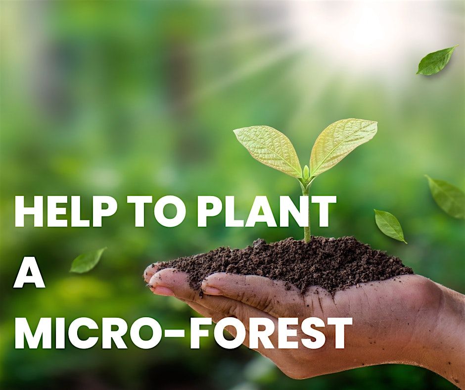 Help plant a Micro-Forest in Whitehall Recreation Ground!