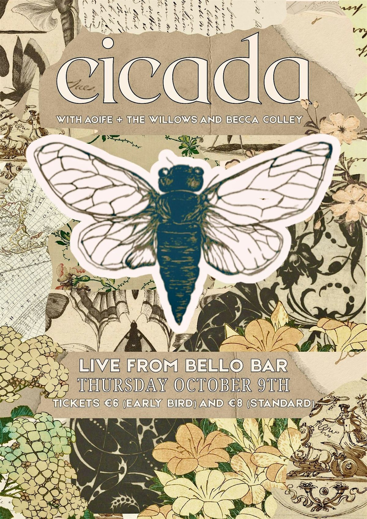 Cicada (with Aoife + The Willows and Becca Colley) - Live in Bello Bar