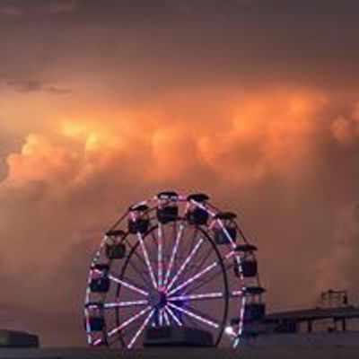 Dodge County Mn Fair